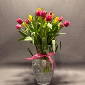 AURORA DE TULIPANES